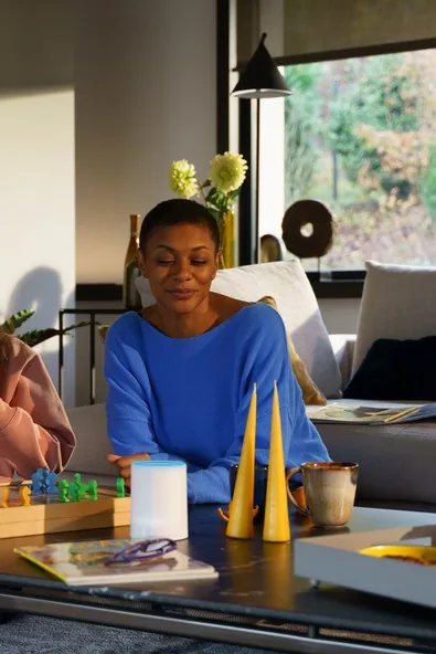 Karnisze elektryczne